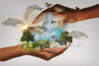 IGIENE E SANITA' PUBBLICA, SALUTE-AMBIENTE